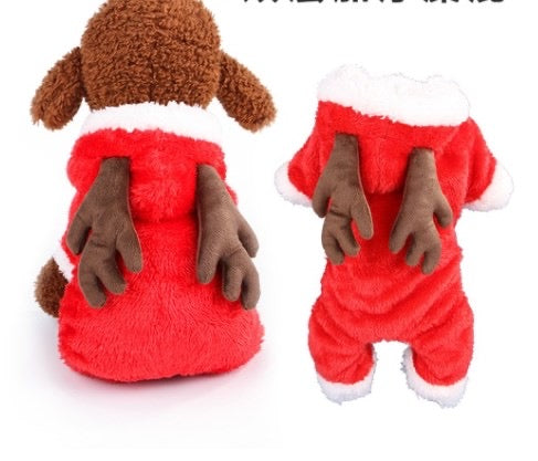 Chien spécial Noël