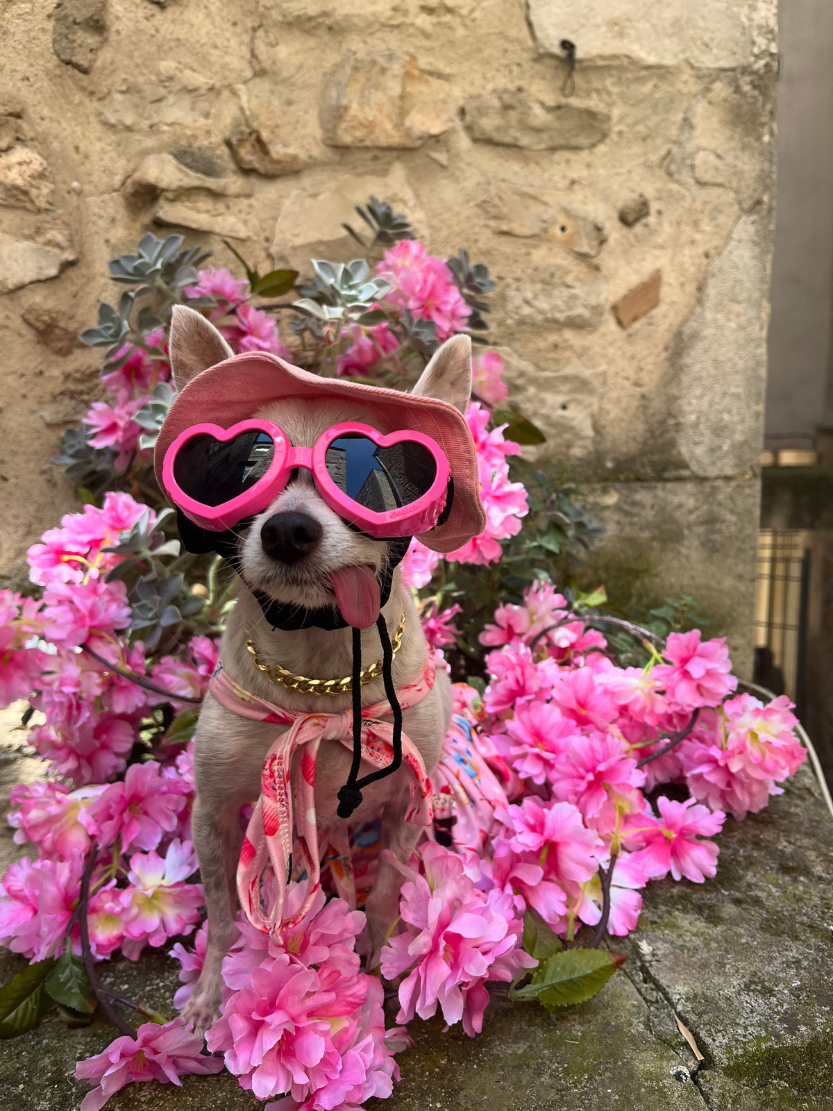 Woof Heart💕